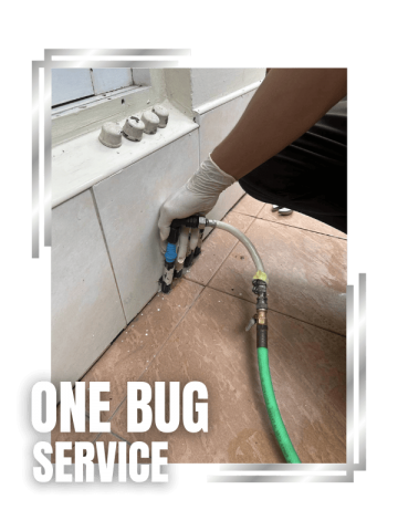 ติดตั้งท่ออัดน้ำยาปลวก นนทบุรี